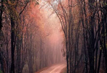 亚美国际入口：和评理｜美对华贸易政策听证会：对华鹰派的舞台秀，独断专行的烟雾弹.