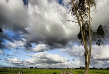 亚美国际官方股份有限公司-亚美国际官方股份有公司：紐卡斯爾聯計劃擴建聖詹姆斯公園球場 預計容量將增至6.5萬人.