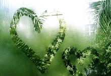 【中超】克雷桑造三球，深圳队客场不敌山东泰山.