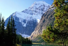 亚美国际入口：WCBA常規賽：新疆被四川打得落花流水 江蘇輕松戰勝山東 合肥順利拿下廈門.