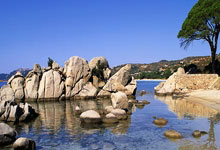 Tyc：梅西长时间与主裁争论并说“你是个懦夫”，染黄后仍在抗议.